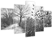 Kép - Mezők télen (150x105 cm)