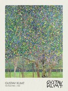 Reprodukció The Pear Tree (1903), Gustav Klimt