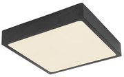 Globo ECHO 12369-22 fényerő-szabályozható mennyezeti lámpa, 22W LED, 4000K, 2475 lm