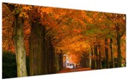 Kép - A Avenue of fák ősszel (120x50 cm)