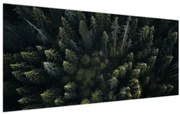 Kép - Forest (120x50 cm)