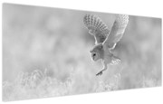 Kép - Bagoly a mezőn (120x50 cm)