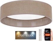 Brilagi - LED Dimmelhető lámpa VELVET SMART LED/36W/230V Wi-Fi Tuya + távirányító