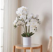 Eglo 428024 - Műnövény HYUGA orchidea, 65x50 cm, cserépben