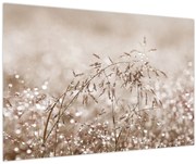 Kép - rét barna árnyalatokban (90x60 cm)