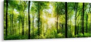 Kép - Hajnal az erdőben (120x50 cm)