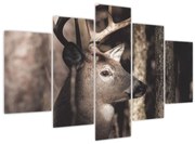 Kép - Szarvas az erdőben (150x105 cm)