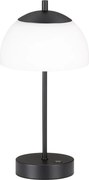 Fischer&Honsel Riva 850330 Asztali lámpa 1x2W/LED 3000K/4750K/6500K 240lm IP20