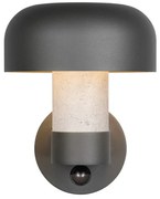 Fali kültéri lámpa (magasság 24,5 cm) Fraser – Trio