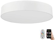 Eglo Eglo 32351 - ROMAO-C LED RGBW 42W mennyezeti dimmer + távirányító EG32351