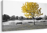 Kép - Pihenés a parkban (90x60 cm)