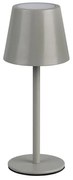Szürke LED asztali lámpa fém búrával (magasság 21 cm) Diaz – Trio