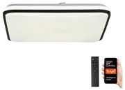 Brilagi - LED Dimmelhető lámpa SMART LED/28W/230V 40x40 cm Wi-Fi Tuya + távirányító BRI062