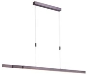 Paul Neuhaus 2568-24 - LED dimmelhető csillár zsinóron ADRIANA LED/14W/230V