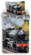 Egyszemélyes pamut gyerek ágyneműhuzat 140x200 cm Train – Jerry Fabrics