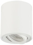 Goni mennyezeti spotlámpa