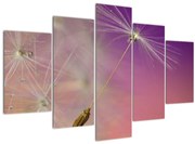 Boldogság képe (150x105 cm)