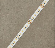 Aktis Essential 24 V LED szalag