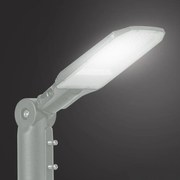 BRILAGI - LED kültéri utcai lámpa URBANLIGHT LED/50W/230V szürke IP65