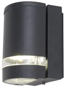 Lutec Focus 6041-gr kültéri falilámpa, 1x35W GU10