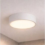Brilagi - Fürdőszobai mennyezeti lámpa POOL 2xE27/15W/230V Ø 30 cm IP54 fehér