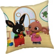 Bing Room párna, díszpárna 40x40 cm