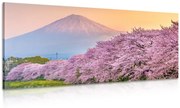 Kép látvínyos Japán ország