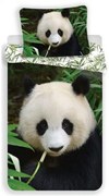 Panda Forest ágyneműhuzat 140×200cm, 70×90 cm