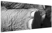 Kép - Elefánt láb (120x50 cm)