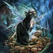 Illusztráció Faerie Familiar, Alchemy