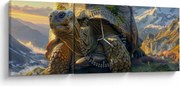 Kép - Teknős és hegyvidéki táj (órával) (90x30 cm)
