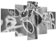 Kép - Őszi természet (150x105 cm)