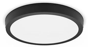 Philips Philips - LED Mennyezeti lámpa MAGNEOS LED/20W/230V 2700K fekete P4489