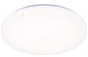 LED Dimmelhető mennyezeti lámpa hangvezérléssel OPAL LED/48W/230V + távirányító