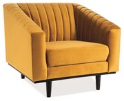 Asprey Velvet 1 fotel curry