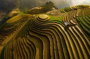 Fotográfia Mu Cang Chai Vietnam, Dao Tan Phat