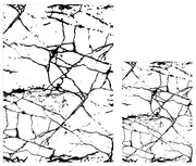 Fehér-fekete fürdőszobai kilépő szett 2 db-os 60x100 cm Cracks – Mila Home
