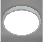 Briloner 3709-014 - LED RGBW Dimmelhető mennyezeti lámpa LED/22W/230V ezüst + távirányító 3709-014