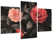 Kép - Vörös virágok sötét háttér előtt (90x60 cm)