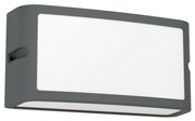 Eglo CAMARDA 900808 kültéri falilámpa, 10,5W LED, 4000K, 1200 lm, IP54