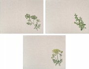 3 db-os 100% Len lenvászon konyharuha szett