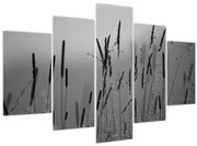 Kép - Fűszálak (150x105 cm)