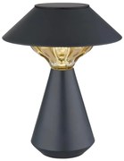 Globo 36639A - LED napelemes lámpa 10xLED/0,06W/1,2V IP44 fekete