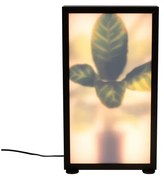 Fekete állólámpa Grow - Zuiver