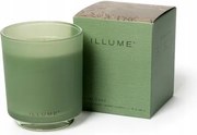 Bloomingville Illume Illatgyertya üvegben 285 g. Hinoki Sage