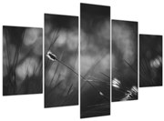 Kép - Mezei fű (150x105 cm)