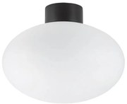 Ideal Lux - Kültéri mennyezeti lámpa CLIO 1xE27/42W/230V IP44 fekete