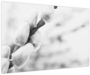 Kép - A tavasz kezdete (90x60 cm)