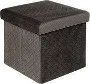 Tárolórekesz Praktikus ülőgarnitúra Szürke 31x31