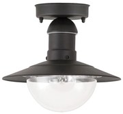 Rabalux 8716 - Kültéri lámpa OSLO 1xE27/60W